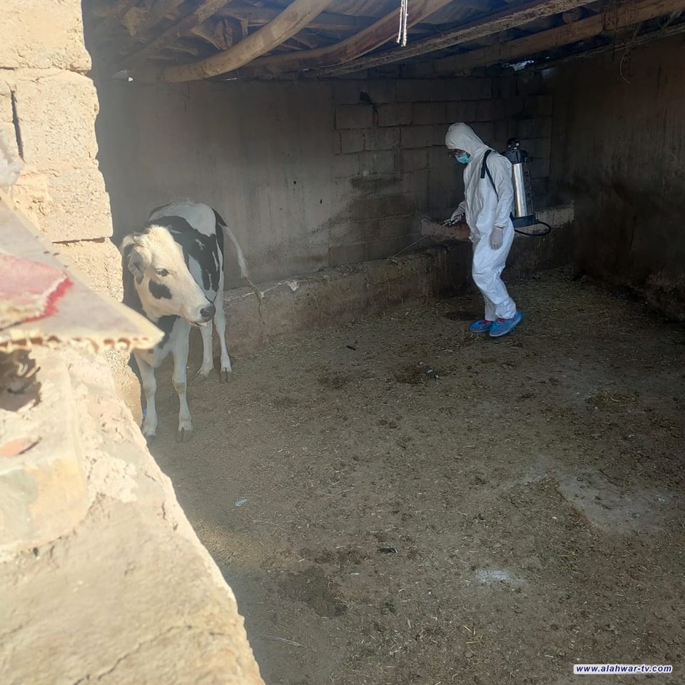 قطاع الشطرة ينفذ فعاليات وقائية حول مرض الحمى النزفية